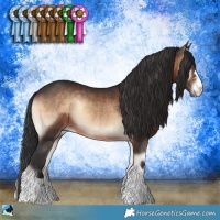 Horse Color:Brown Onyx Rabicano