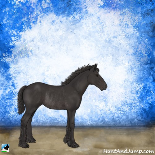 Horse Color:Smoky Black Mushroom Rabicano 