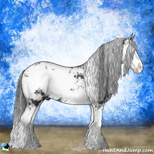 Horse Color:Black Sabino Rabicano 