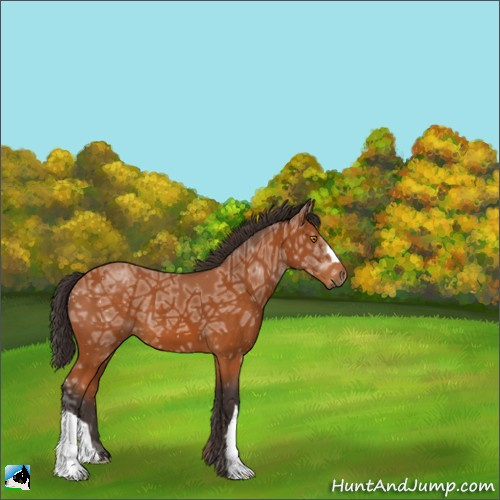 Horse Color:Buckskin Ice 
