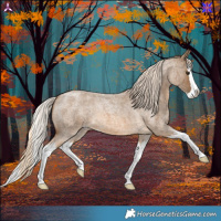 Horse Color:Chocolate Palomino Roan Splash 