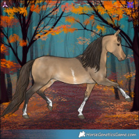 Horse Color:Buckskin Dun Sabino 