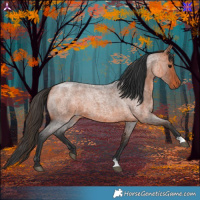 Horse Color:Bay Roan 