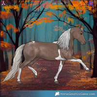 Horse Color:Silver Black Tobiano 