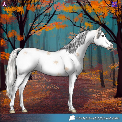 Horse Color:White Spotted Silver Bay Dun Splash 
