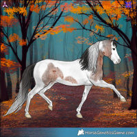 Horse Color:Brown Roan Splash Tobiano 
