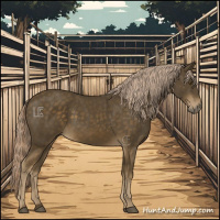 Horse Color:Chocolate Palomino 