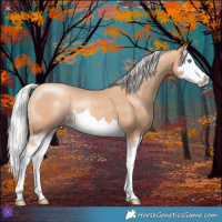Horse Color:Silver Amber Champagne Splash 