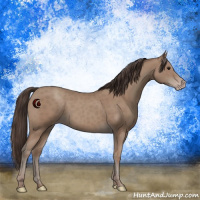 Horse Color:Classic Champagne 