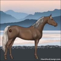 Horse Color:Silver Black 