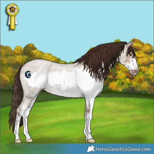 Horse Color:White Spotted Liver Red Dun Roan Frame Rabicano 