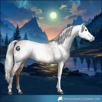 Horse Color:Gray White Spotted Silver Black Pearl Tobiano 