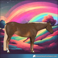 Horse Color:Chocolate Palomino 