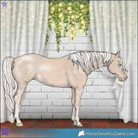 Horse Color:Cremello Mushroom 