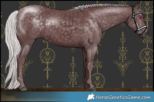 Horse Color:Chocolate Silver Smoky Black Chinchilla