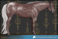 Horse Color:Chocolate Silver Smoky Black Chinchilla 