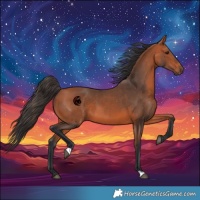 Horse Color:Bay 