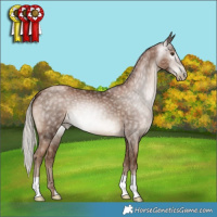 Horse Color:Gray Silver Black Pearl 