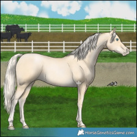 Horse Color:Palomino Pearl 