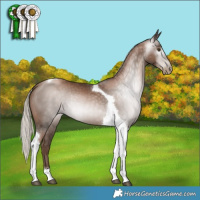 Horse Color:Gray Silver Black Pearl Tobiano 