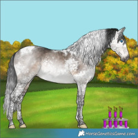 Horse Color:Gray Brown Dun Mushroom Splash Tobiano