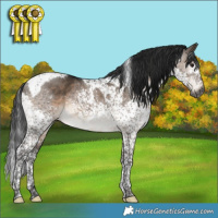 Horse Color:Gray Brown Dun Mushroom Splash Tobiano 