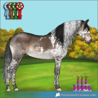 Horse Color:Gray Brown Dun Mushroom Splash Tobiano