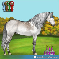 Horse Color:Gray Brown Dun Mushroom Splash Tobiano