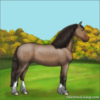 Horse Color:Liver Red Dun 