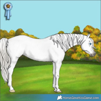 Horse Color:Gray Silver Smoky Black Sabino Splash Tobiano Appaloosa 