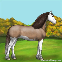 Horse Color:Liver Red Dun Splash 