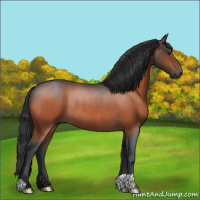 Horse Color:Brown Roan Rabicano 