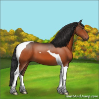 Horse Color:Bay Tobiano 