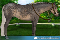 Horse Color:Silver Smoky Black