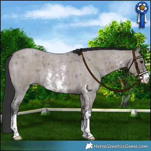 Horse Color:Platinum Grullo Roan Sabino 