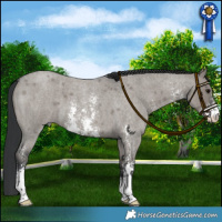 Horse Color:Platinum Grullo Roan Sabino