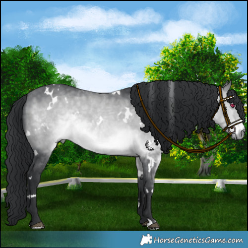 Horse Color:Platinum White Spotted Brown Chinchilla 