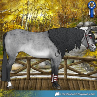 Horse Color:Platinum Brown Chinchilla Roan 