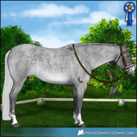 Horse Color:Platinum Silver Blue Chinchilla Roan