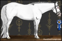 Horse Color:Platinum Silver Sable Champagne Chinchilla Roan Dun 