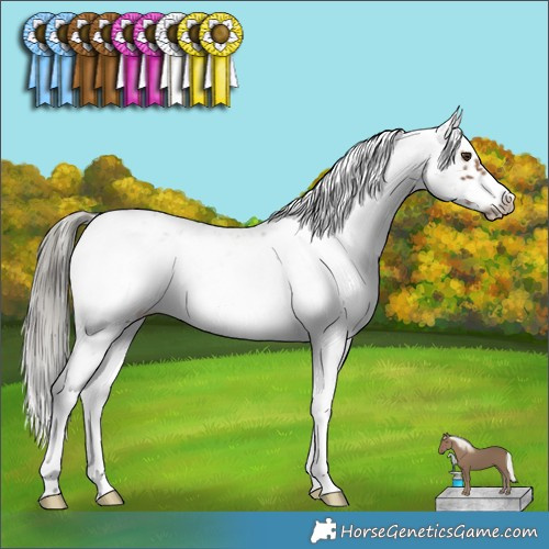 Horse Color:Liver Chestnut Mushroom Sabino Frame 