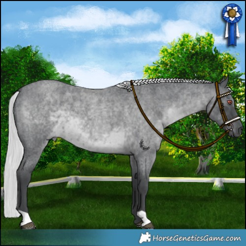 Horse Color:Platinum Silver Blue Chinchilla Roan