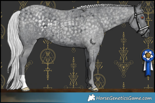 Horse Color:Silver Blue Chinchilla Roan 