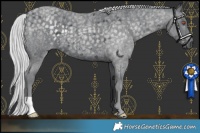 Horse Color:Silver Blue Chinchilla Roan 