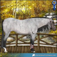 Horse Color:Platinum Brown Roan 
