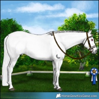 Horse Color:Platinum Liver Red Dun Chinchilla Roan 