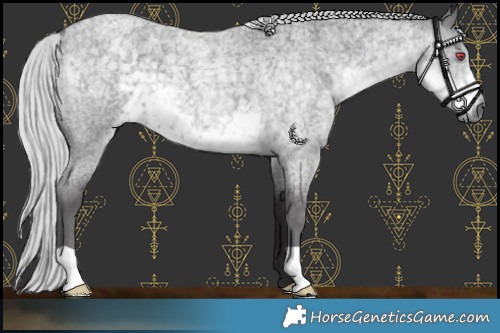 Horse Color:Platinum Silver Smoky Blue Chinchilla Roan 