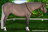 Horse Color:Platinum Silver Brown Roan