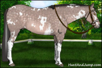Horse Color:Platinum White Spotted Buckskin Mushroom