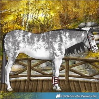 Horse Color:Platinum Buckskin Mushroom Sabino 